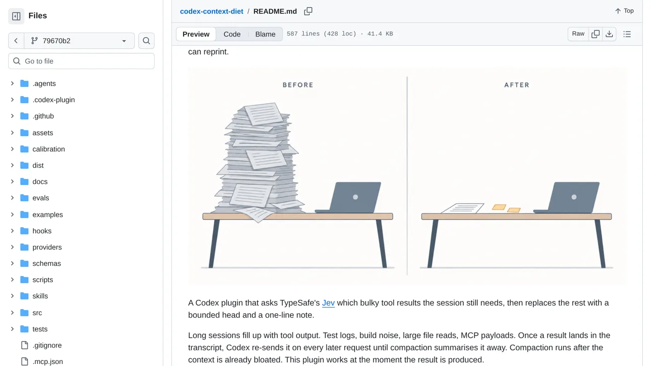 Source screenshot of codex-context-diet