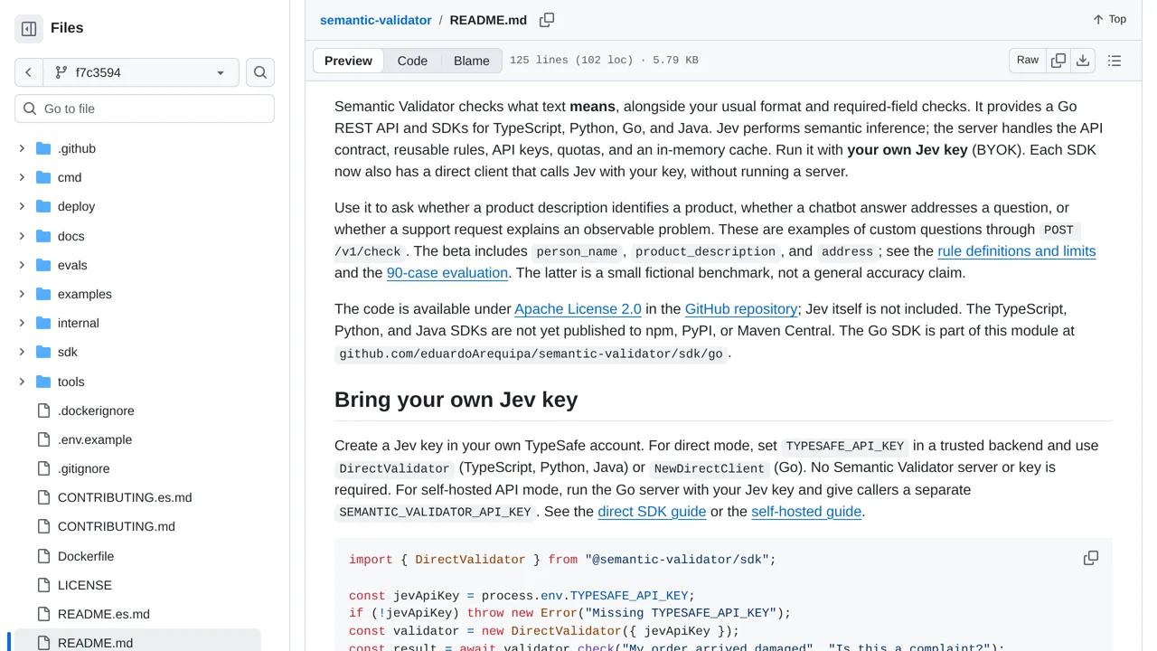 Source screenshot of semantic-validator