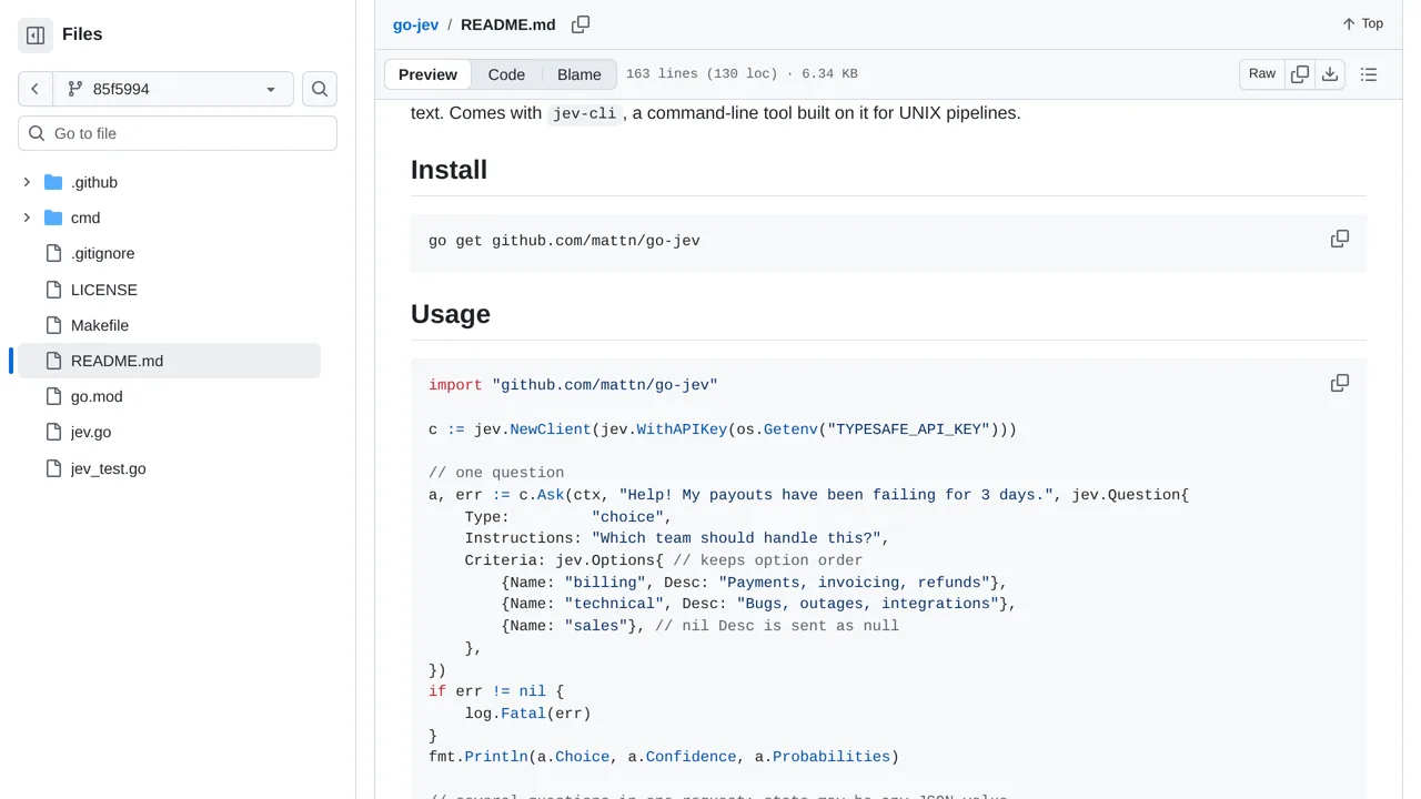 Source screenshot of go-jev