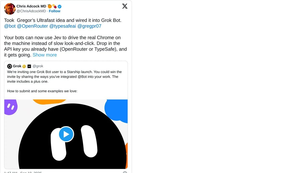 Source screenshot of Grok Bot Chrome driver