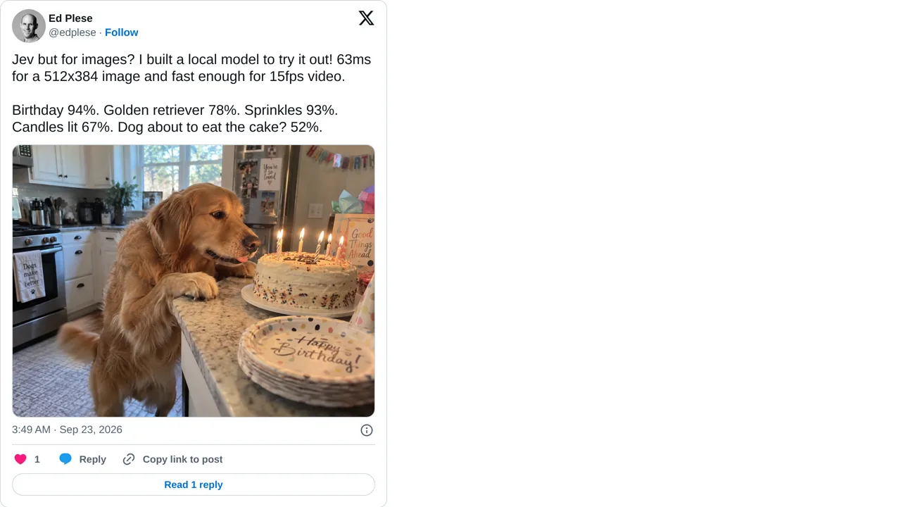 Source screenshot of Local image decision model