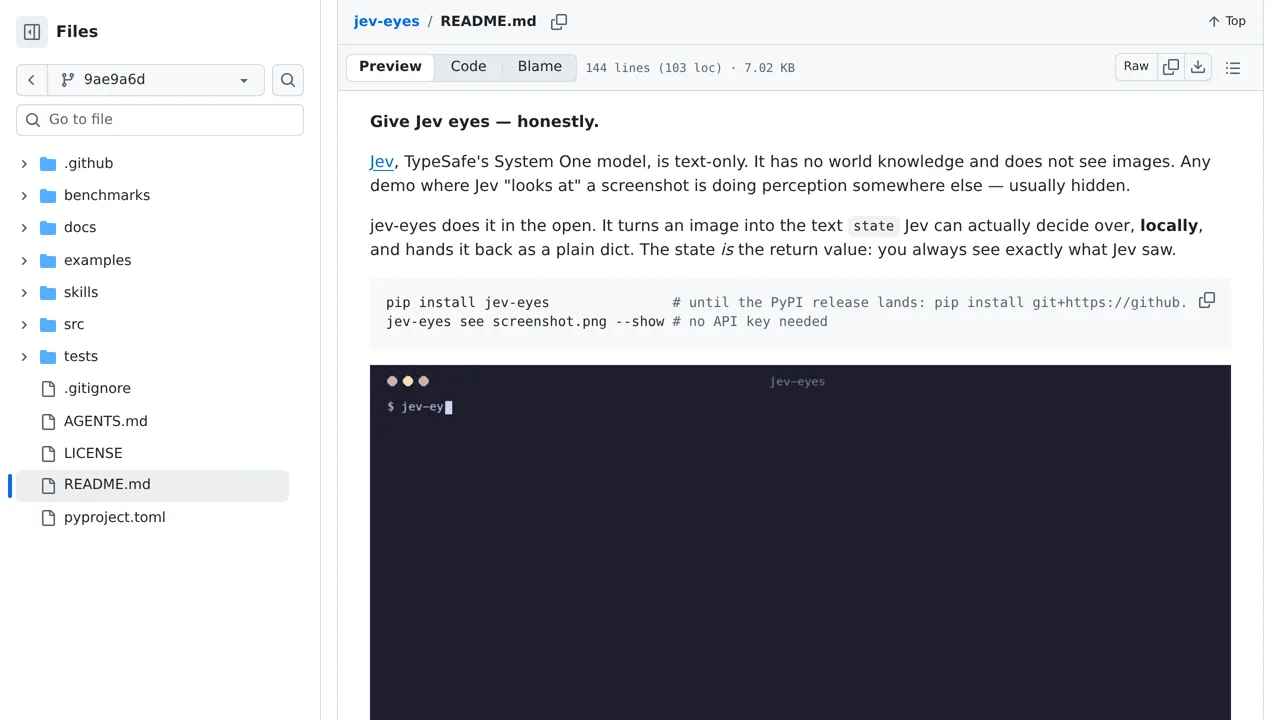 Source screenshot of jev-eyes
