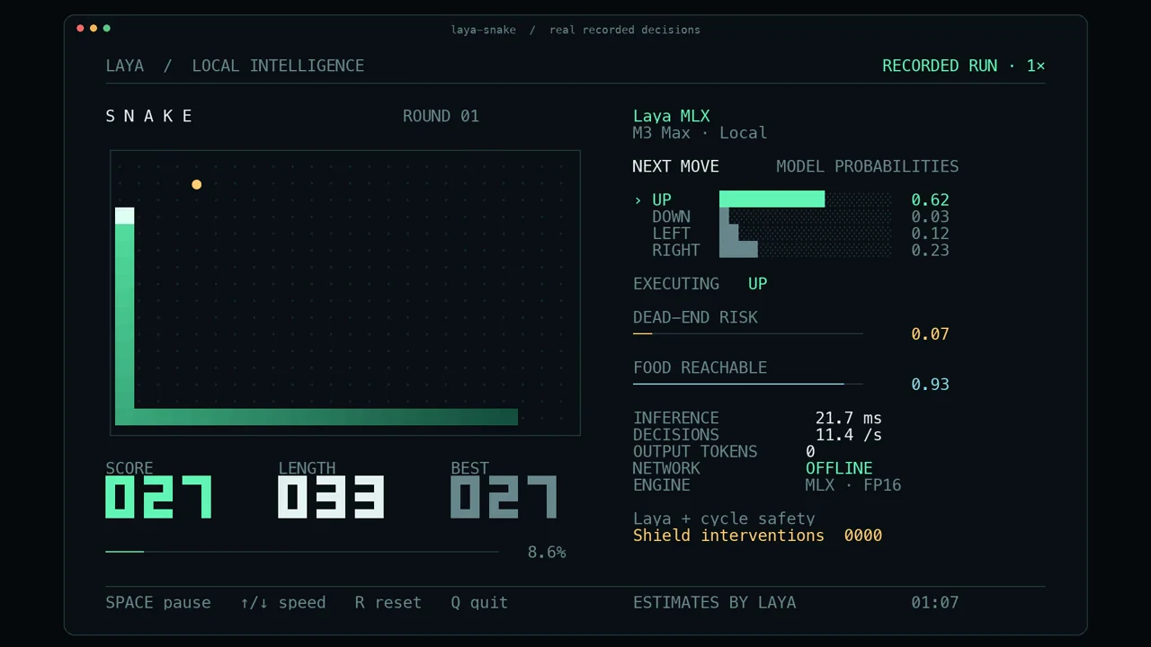 Recorded frame of Laya-MLX