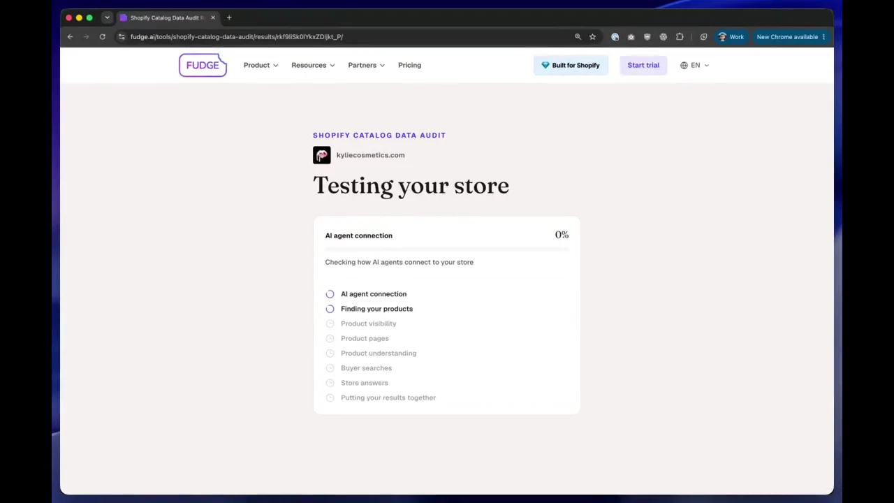 Recorded frame of Shopify AEO Audit