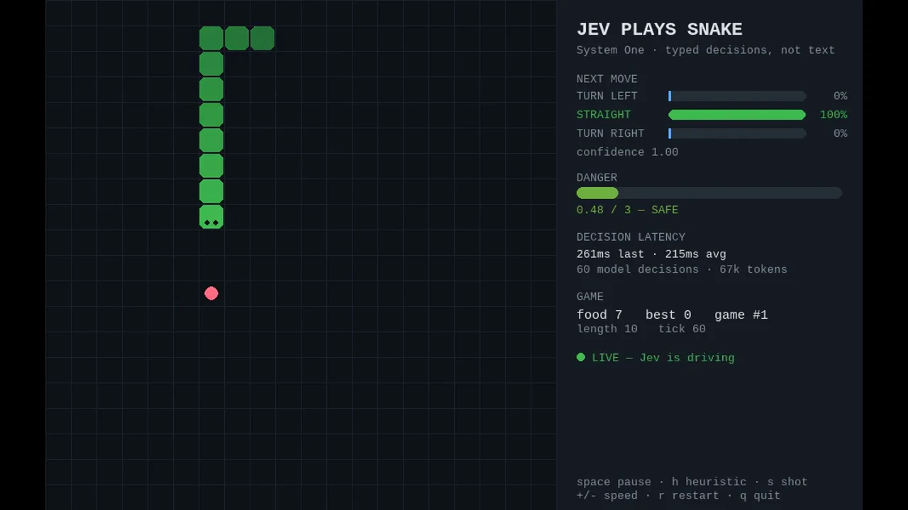 Recorded frame of Jev plays Snake — wbarakat