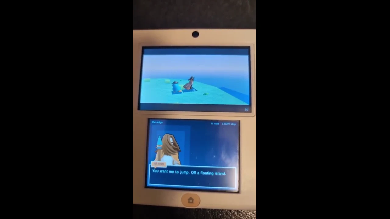 Recorded frame of Youssef’s Nintendo DS game